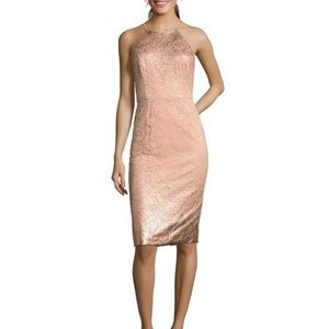 Adrianna Papell Rose Gold Lace Sheath Dress 8